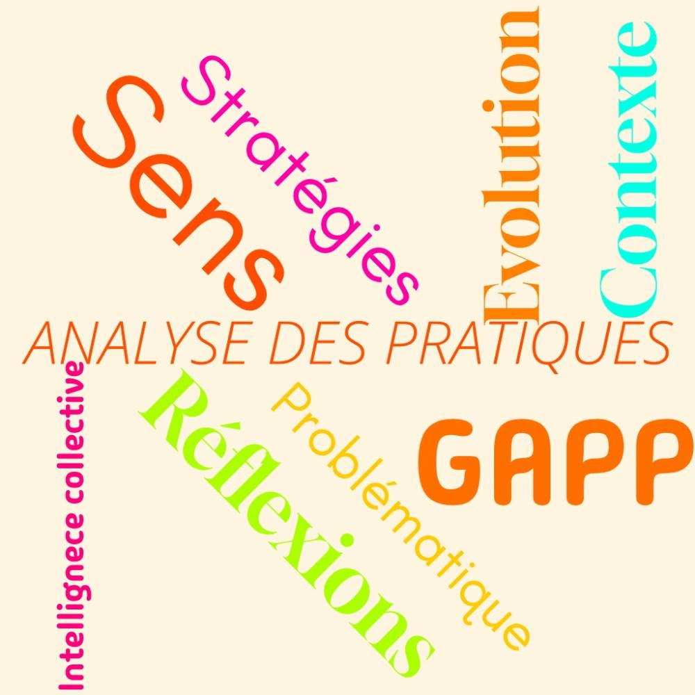 wordcloud GAPP